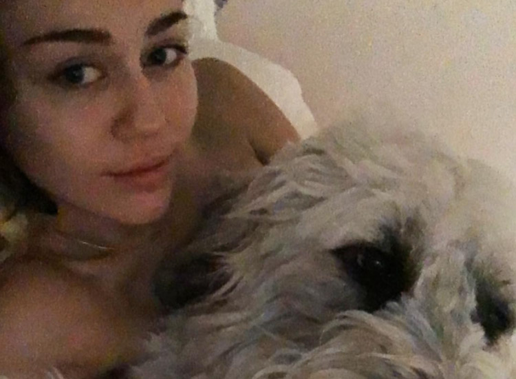 Miley Cyrus nackt im Bett mit Hund Dora